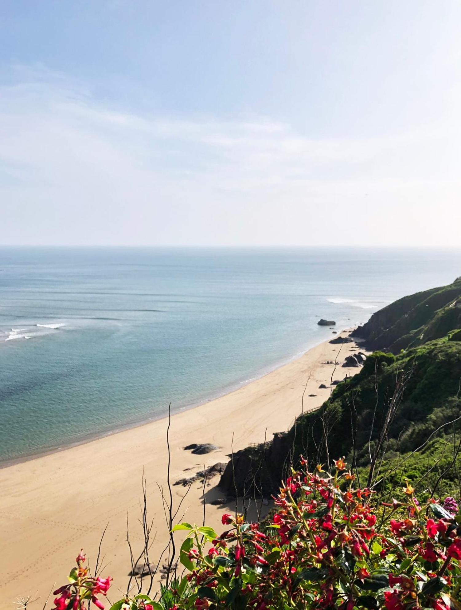 Cosy Beachside Cottage Bigbury Exteriör bild